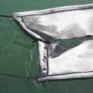 O__leinsatz Hafen17.jpg