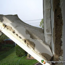 20100411_1264942979_r0015855.jpg