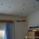 20100411_1636225827_r0015852.jpg
