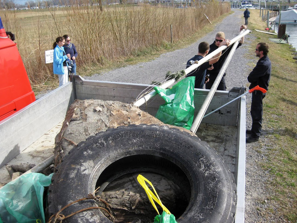 Landschaftsreinigung _27_.JPG