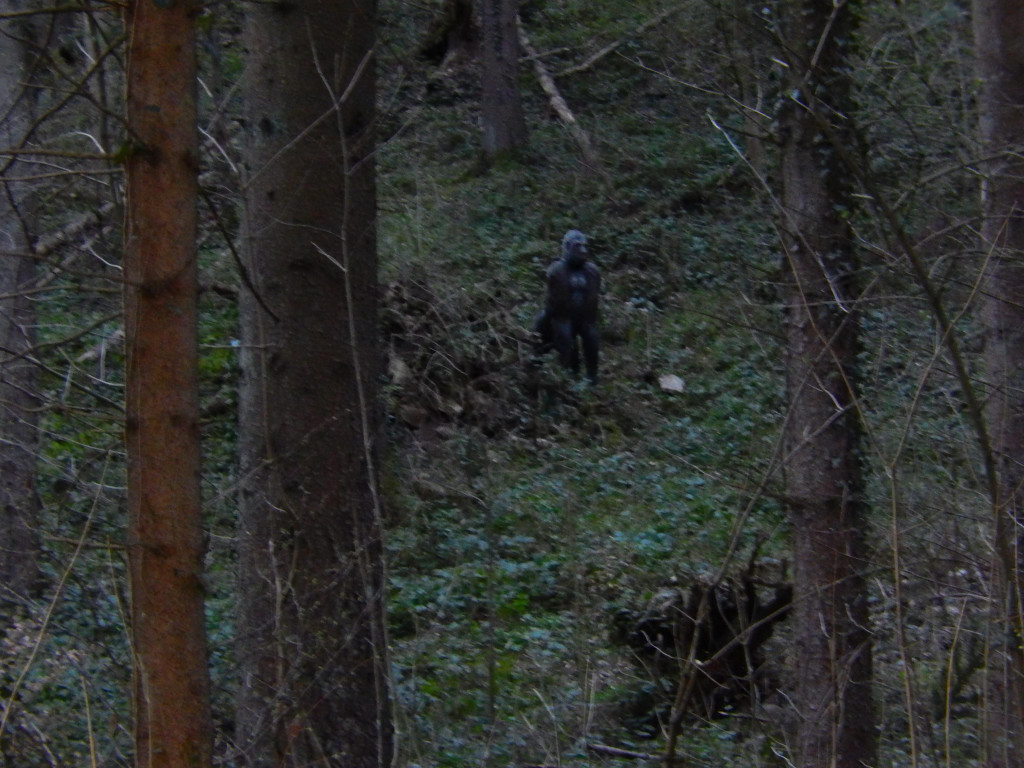 Jagd 2014 015.JPG
