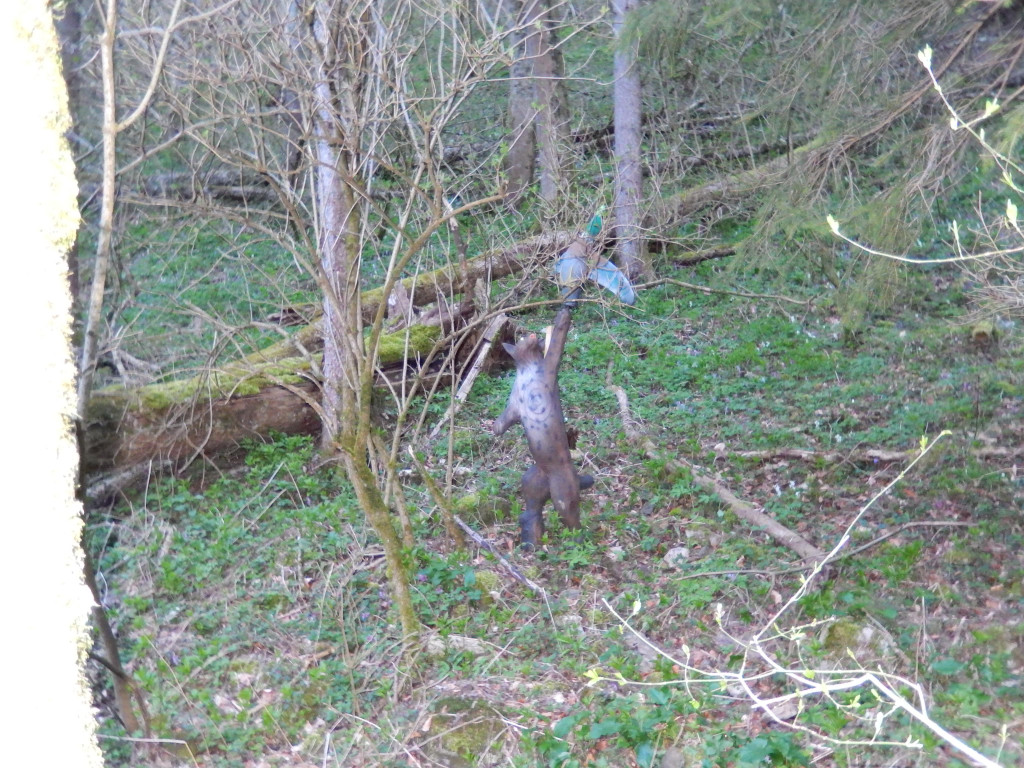 Jagd 2014 013.JPG