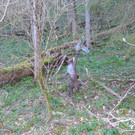 Jagd 2014 013.JPG