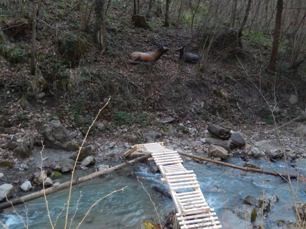 Jagd 2014 004.JPG