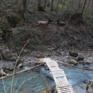 Jagd 2014 004.JPG
