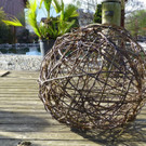 P1000350a.jpg