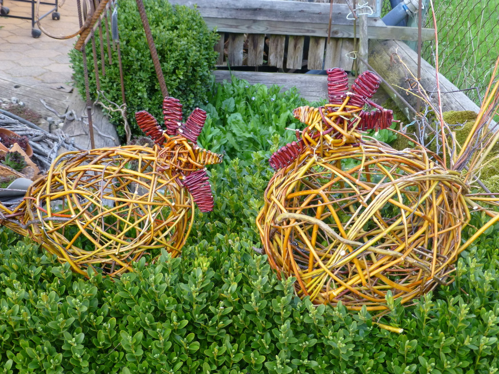 P1000370a.jpg