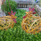 P1000370a.jpg