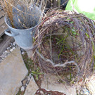 P1000347a.jpg
