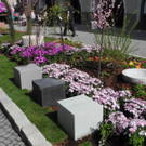 DSCN1435.JPG