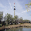 ABD0008-20140324.jpg