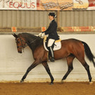 Dressur und Springen - für alle was dabei