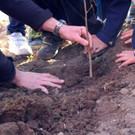 KOE_Pflanzaktion VS Agasella 33.jpg