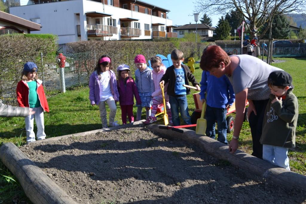 DSC_0007 Blumen_ Kr__uter und Gem__se werden dieses Jahr angepflanzt.JPG