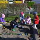 DSC_0023 Blumen_ Kr__uter und Gem__se werden dieses Jahr angepflanzt.JPG