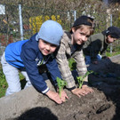 DSC_0045 Leon _4_ und Felix _6_.JPG