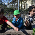 DSC_0066 Die flei__igen G__rtner bei der Arbeit.JPG