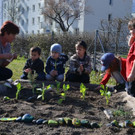 DSC_0069 Die flei__igen G__rtner bei der Arbeit.JPG