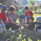 DSC_0073 Die flei__igen G__rtner bei der Arbeit.JPG