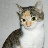 Leni: Kleine Draufgängerin liebt Spielen und Streicheleinheiten