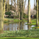 DSC00651.JPG