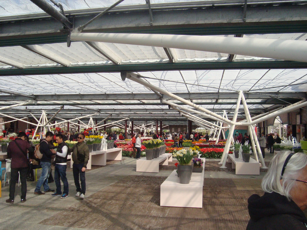 DSC00660.JPG