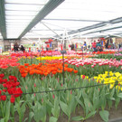 DSC00666.JPG