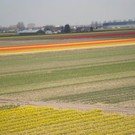 DSC00681.JPG