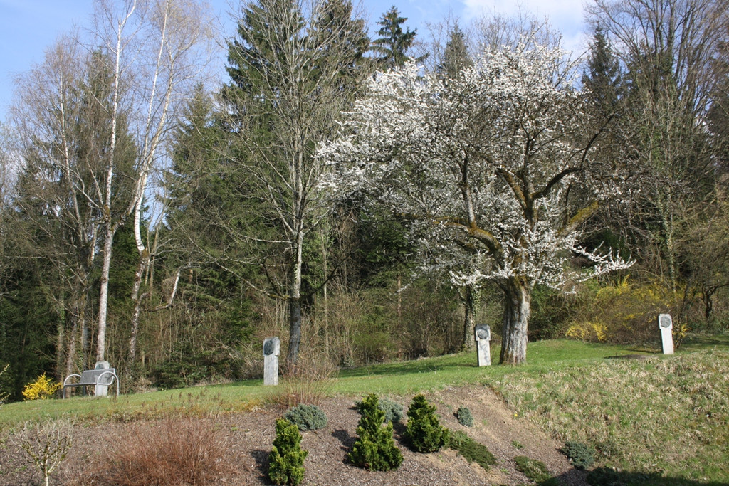 Jesuheim MUSIK am Nachmittag 2014 _13_.JPG