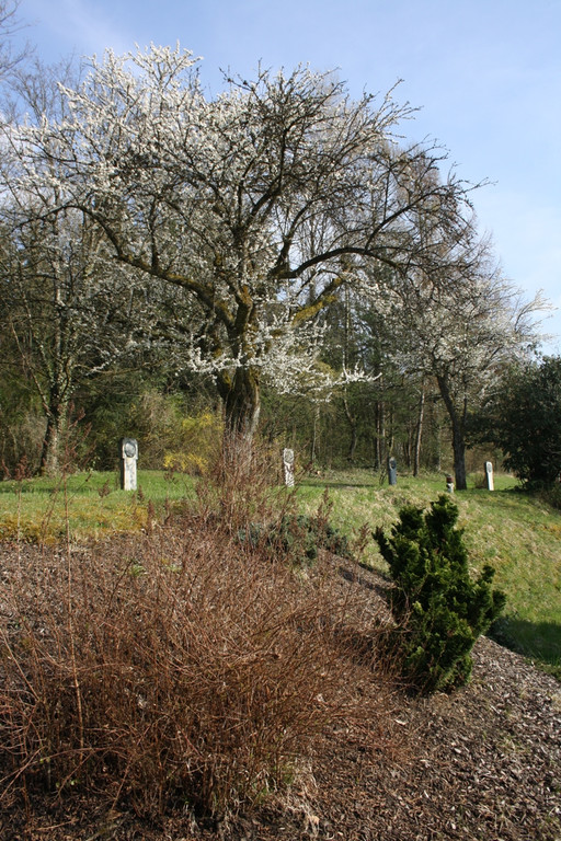 Jesuheim MUSIK am Nachmittag 2014 _15_.JPG