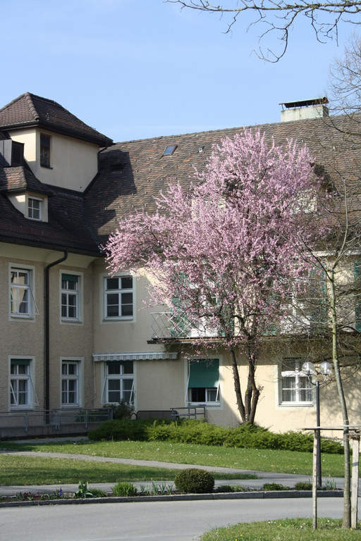 Jesuheim MUSIK am Nachmittag 2014 _17_.JPG