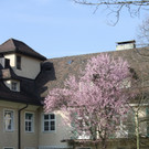 Jesuheim MUSIK am Nachmittag 2014 _17_.JPG