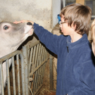 Sport-Mittelschule beim "Steinerhof"