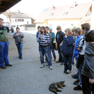 baue_jpg-1271020356