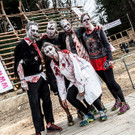 Wildsau3_Zombies_C_nr22com.jpg