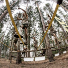 Wildsau6_C_nr22com.jpg
