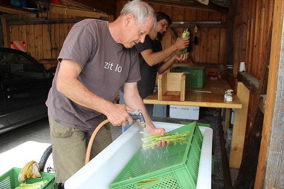 bea_Schneewittchenspargel_Brunnenfeld _12 von 28_.jpg