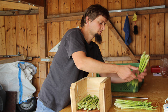 bea_Schneewittchenspargel_Brunnenfeld _13 von 28_.jpg