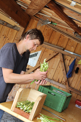 bea_Schneewittchenspargel_Brunnenfeld _17 von 28_.jpg