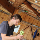 bea_Schneewittchenspargel_Brunnenfeld _17 von 28_.jpg