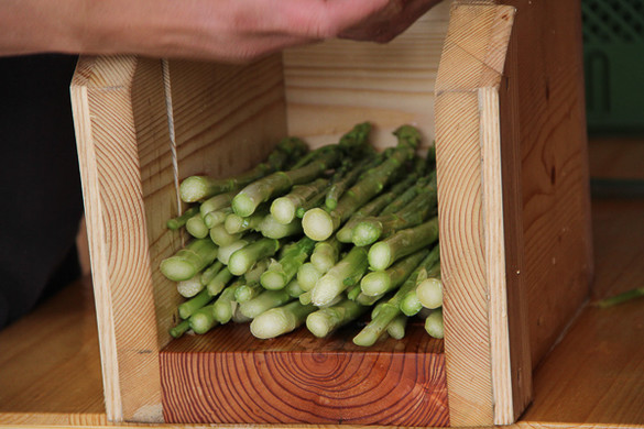 bea_Schneewittchenspargel_Brunnenfeld _18 von 28_.jpg