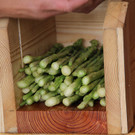 bea_Schneewittchenspargel_Brunnenfeld _18 von 28_.jpg