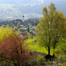 KOE_Suppentag Goefis 1.jpg