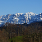 DSC08006_JPG-1271051413
