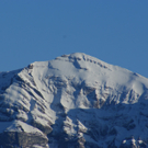 DSC08007_JPG-1271051417