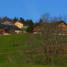 DSC08018_JPG-1271051438