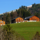 DSC08020_JPG-1271051445