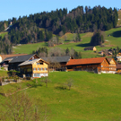 DSC08022_JPG-1271051454