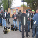 Bilder Finale