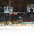 IMG_2575.JPG